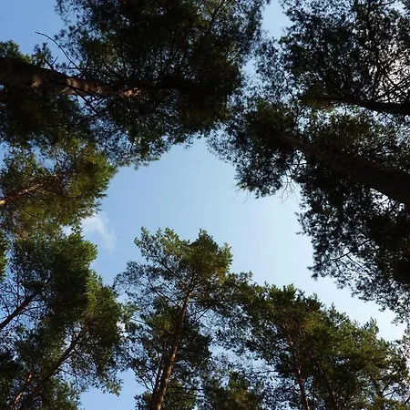 Apartment Ferienwohnung-am-ufer-an-der-mueritz